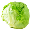 Iceberg Lettuce